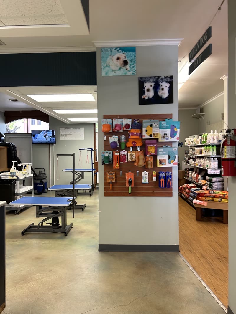 The shop interior looking through to the grooming table and a wall of retail shelving