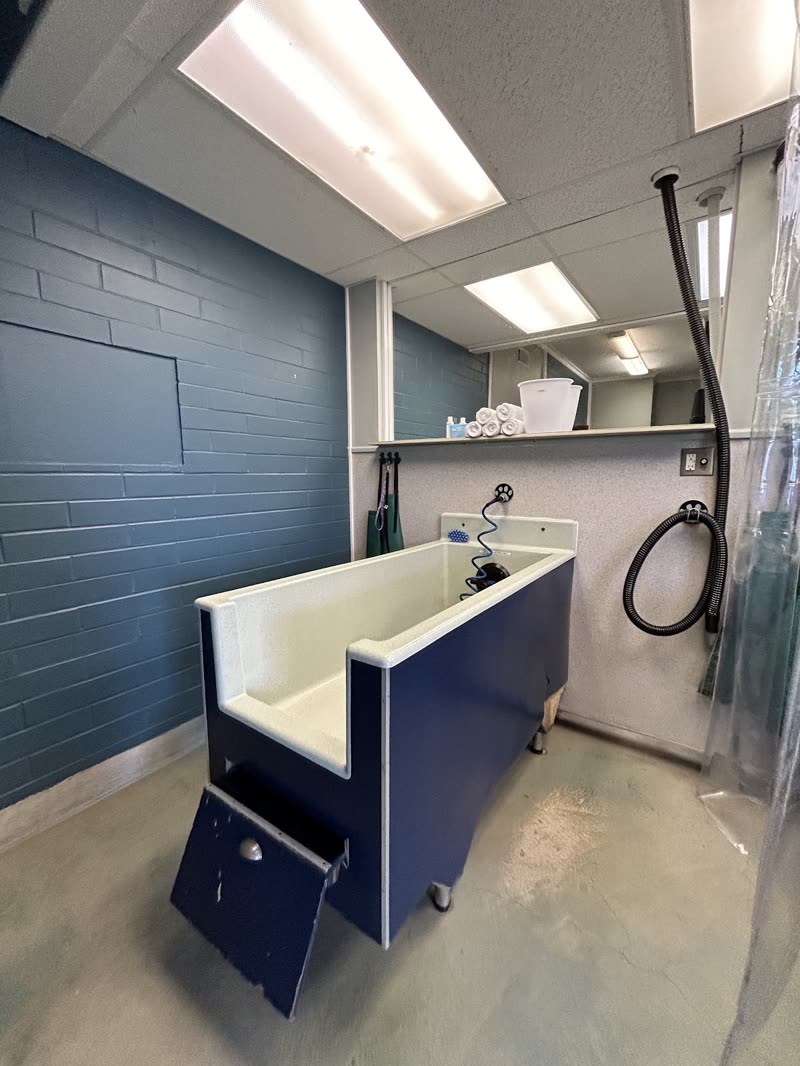 The wash room end-on, two navy tubs against a blue brick wall with a splash curtain