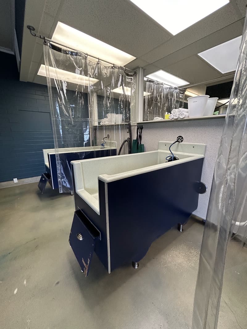 An empty navy wash tub under bright ceiling lights with the clear curtain pulled back