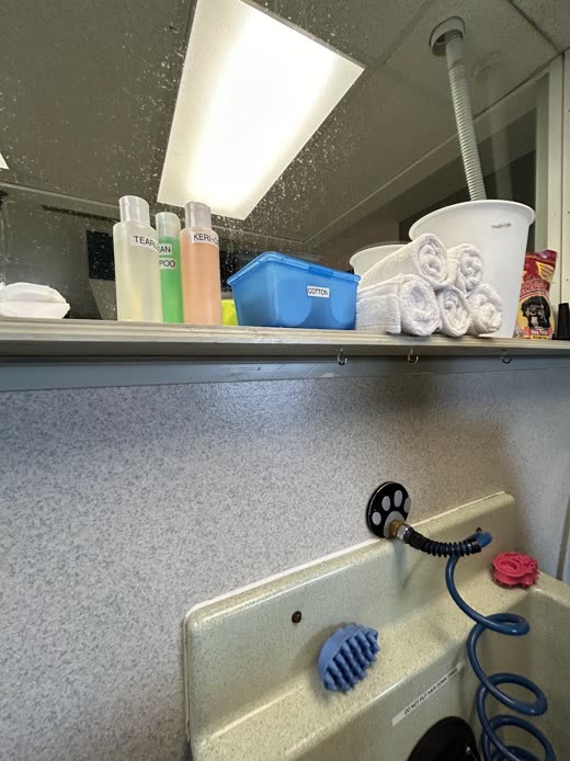 Shampoo bottles, folded towels and a coiled sprayer hose on the wash station shelf