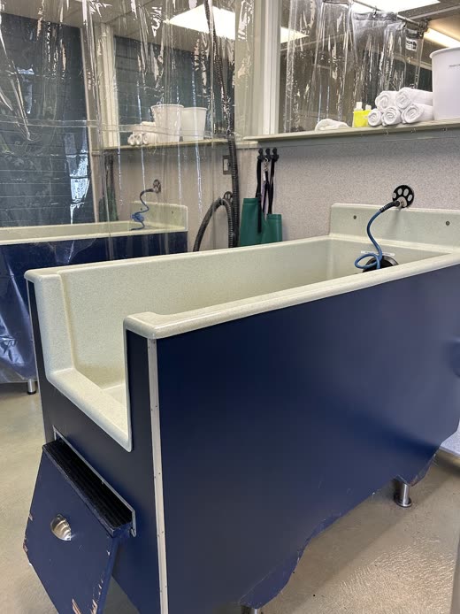 A navy self-service dog wash bay with stainless tap, sprayer hose and towels